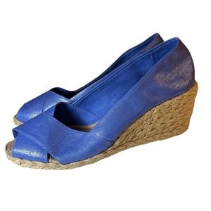 Lauren Ralph Lauren Cecila Blue Metallic Coated Linen Wedges Heels Espadrilles